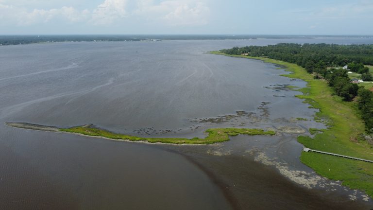 N.C. Coastal Habitat Protection Plan