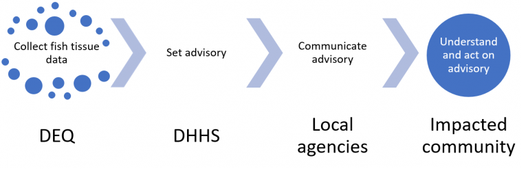 Conceptual diagram of North Carolina fish consumption advisory setting and communication process