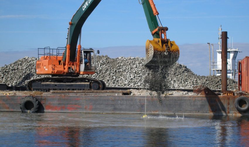 oyster sanctuary work