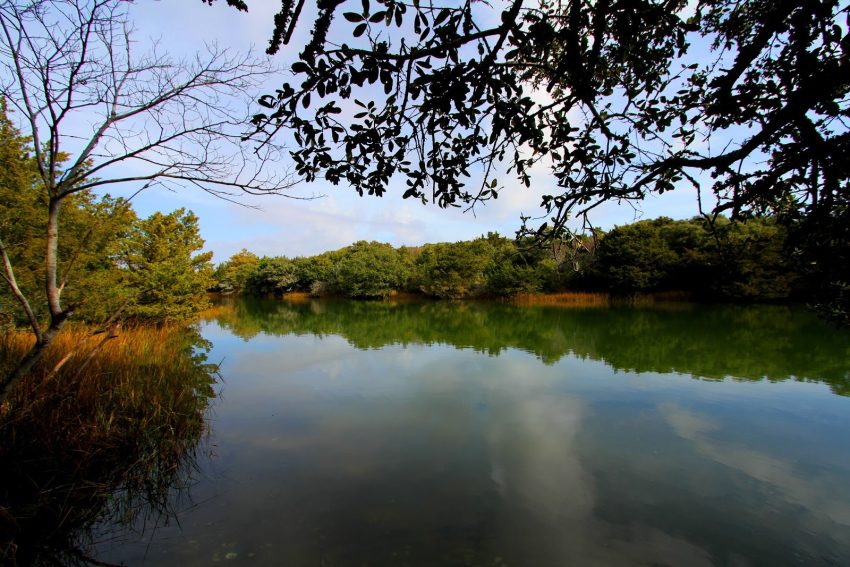 Hoop Pole Creek | Photo © Sam Bland