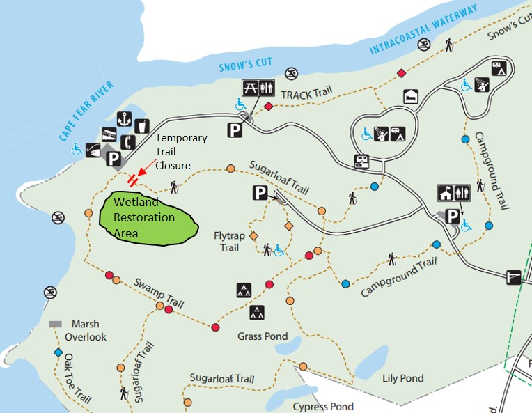 Carolina Beach State Park Wetland Restoration