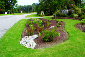 Stormwater rain garden