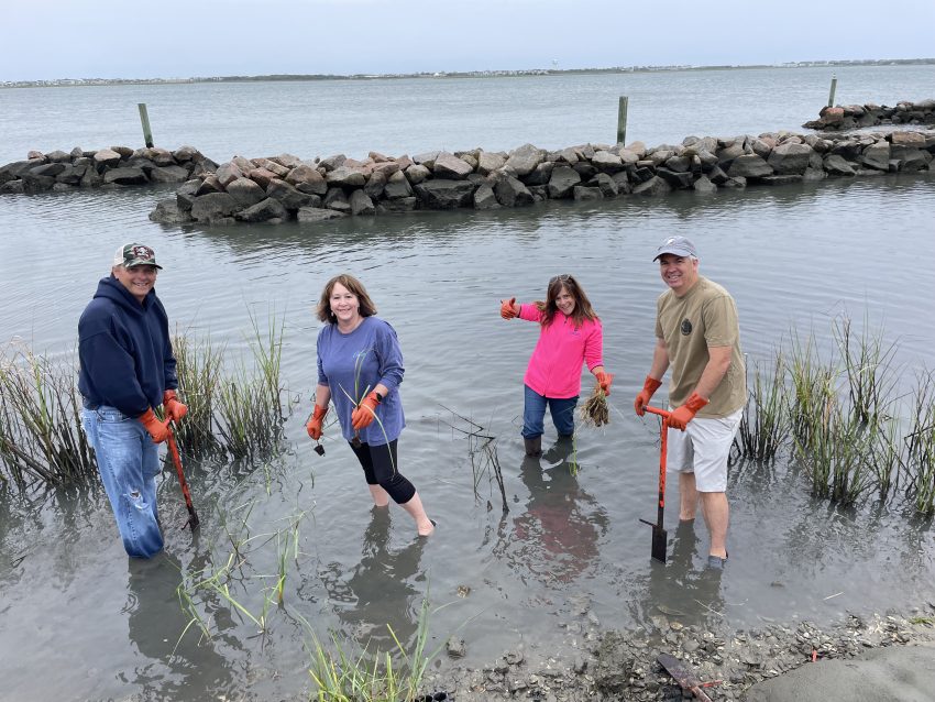 Volunteers in our central region were busy this past month, helping with several marsh grass plantings.