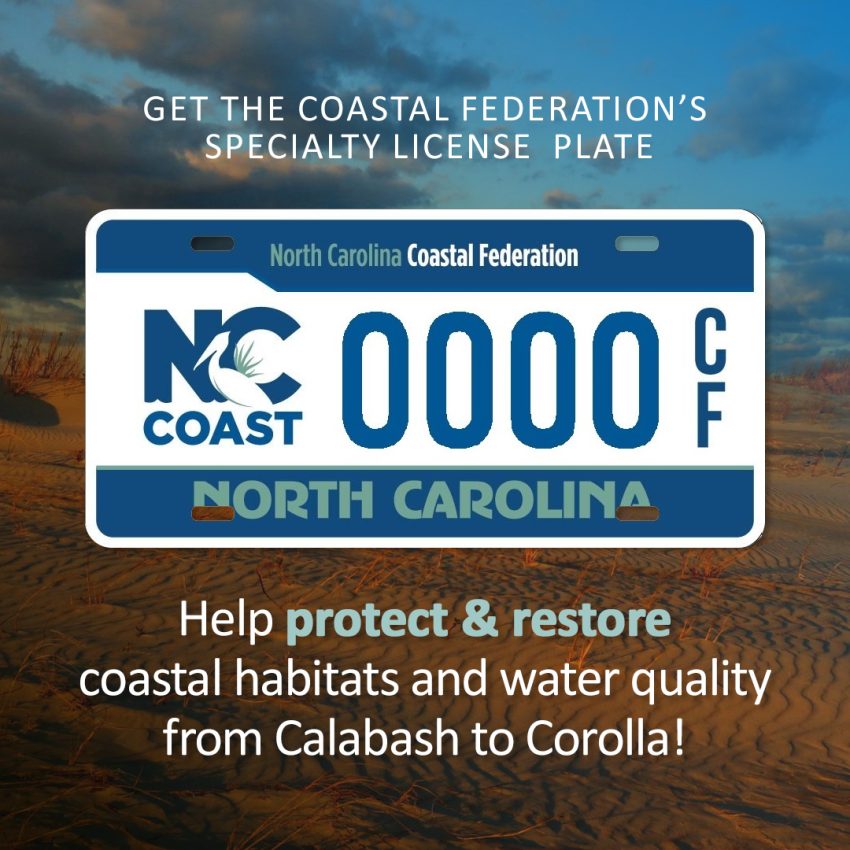Get a Specialty NC License Plate