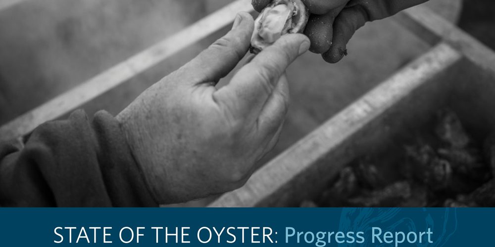 State of the Oyster Report 2018