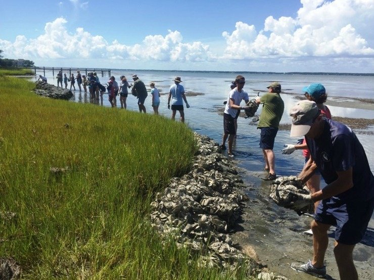 an image of a group of volunteers using bagged oyster shells to construct a living shoreline
