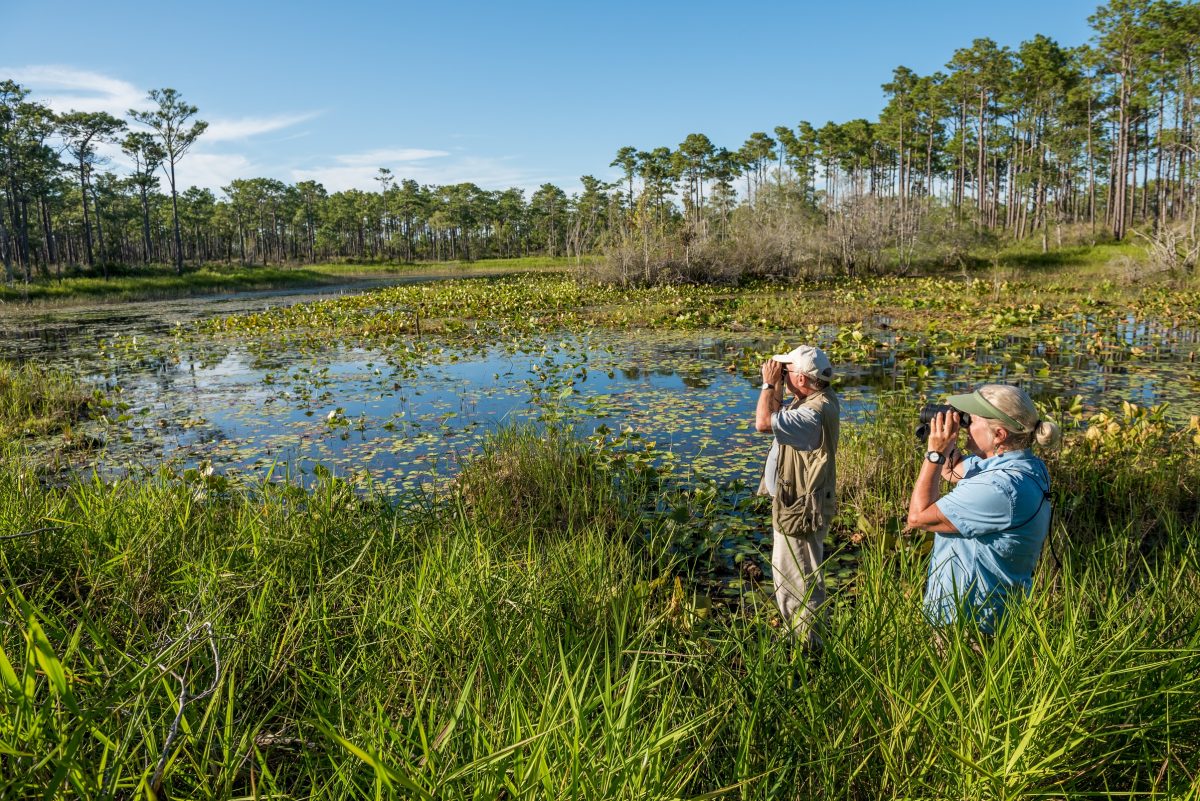 Patsy Pond Nature Trail