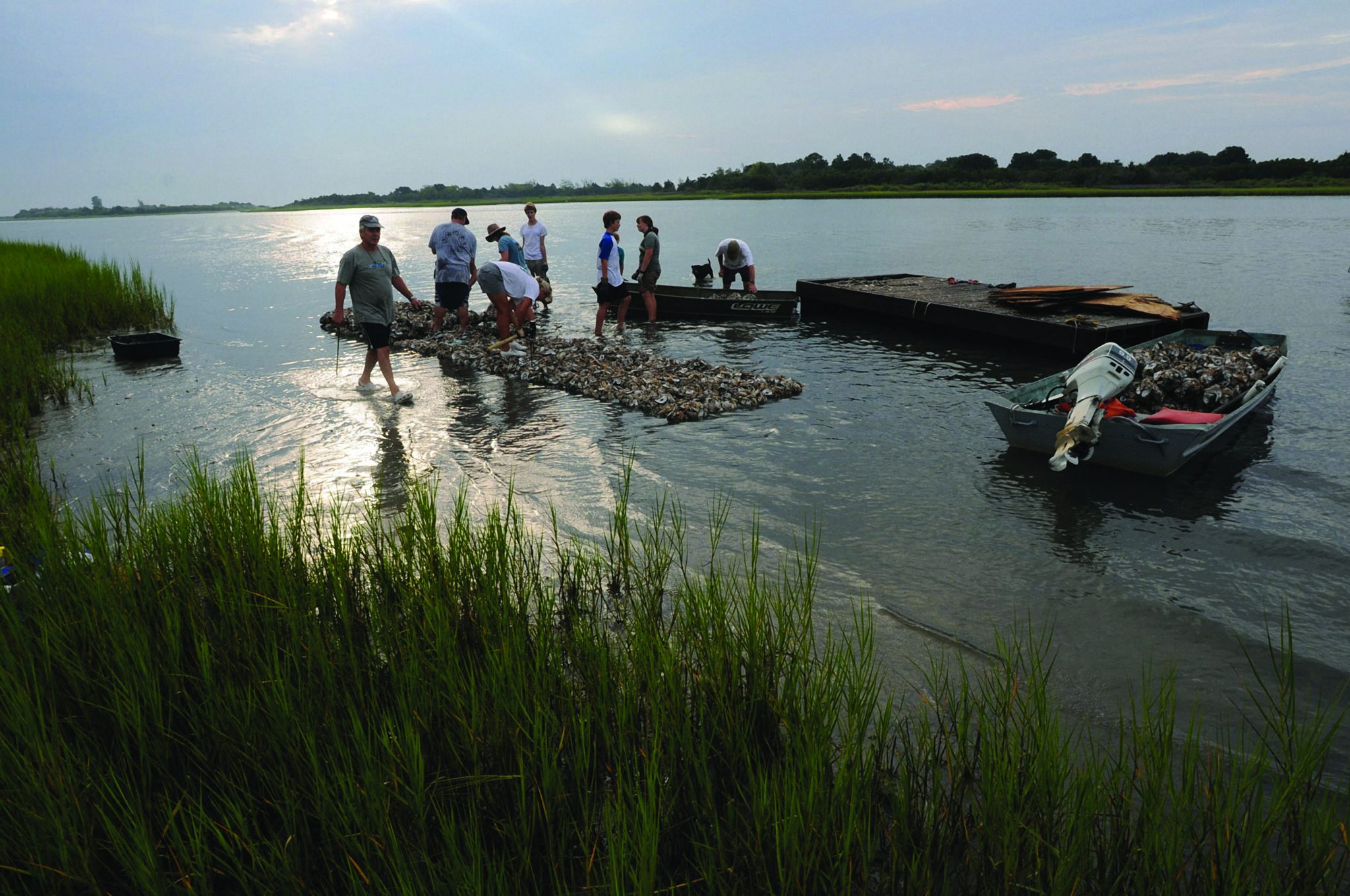 Get Involved | North Carolina Coastal Federation