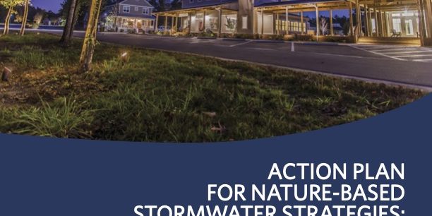 Action Plan for Nature-based Stormwater Strategies