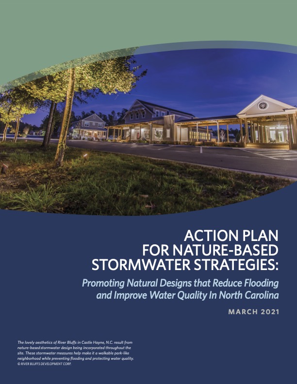 Action Plan for Nature-based Stormwater Strategies