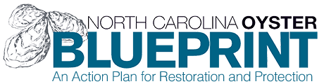 The logo for the North Carolina Oyster Blueprint. The text reads "North Carolina Oyster Blueprint: An Action Plan for Restoration and Protection".