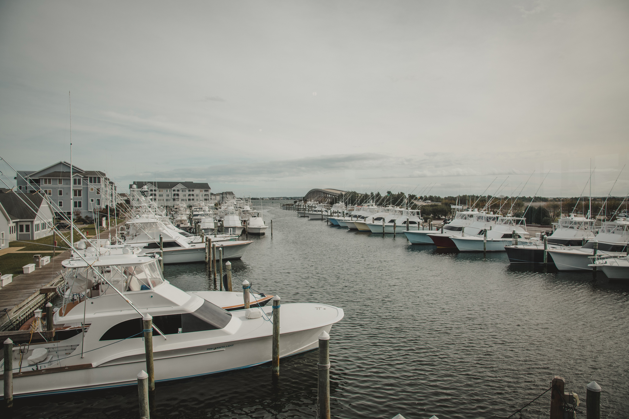 fishing boats © Jenny Crofton