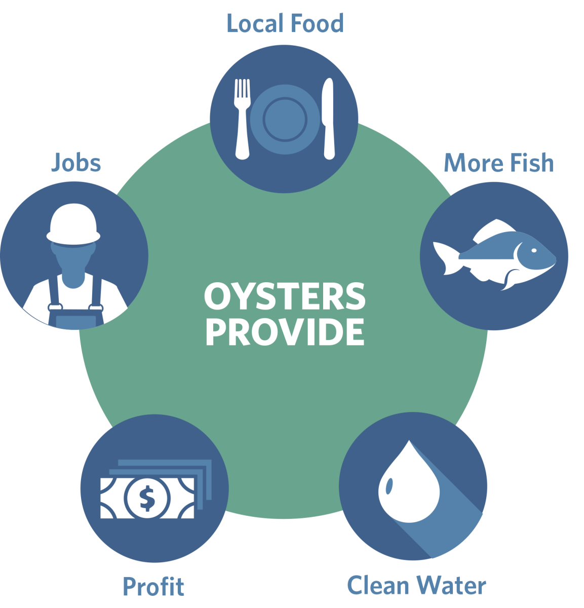 Oyster Reefs Provide