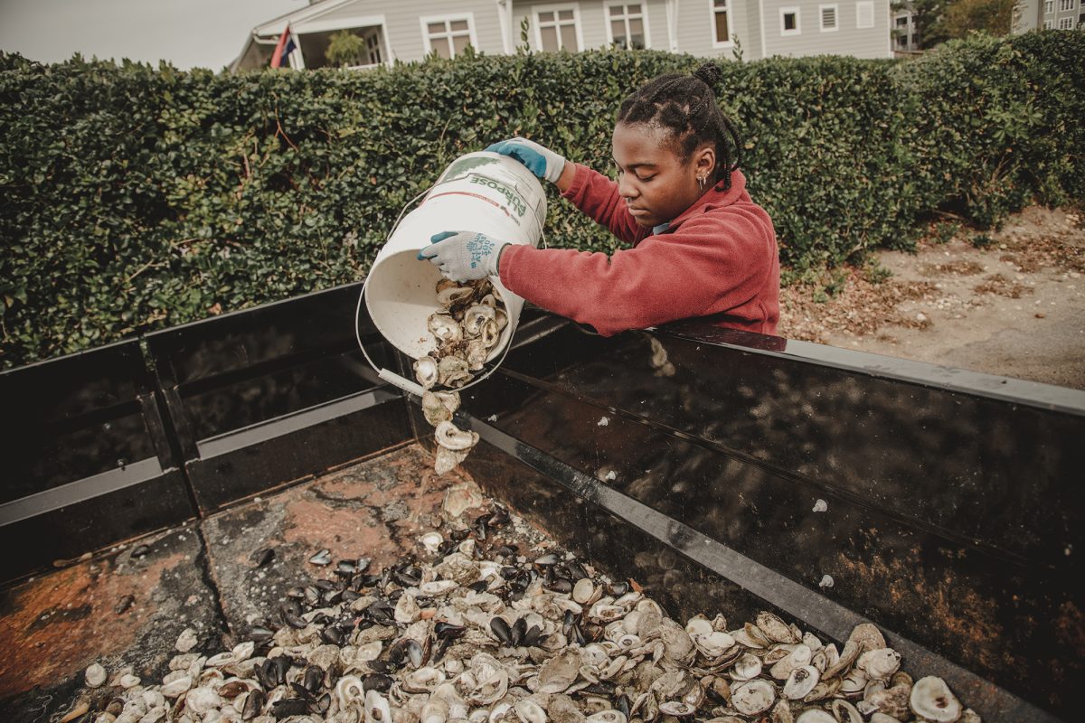 oyster shell recycling