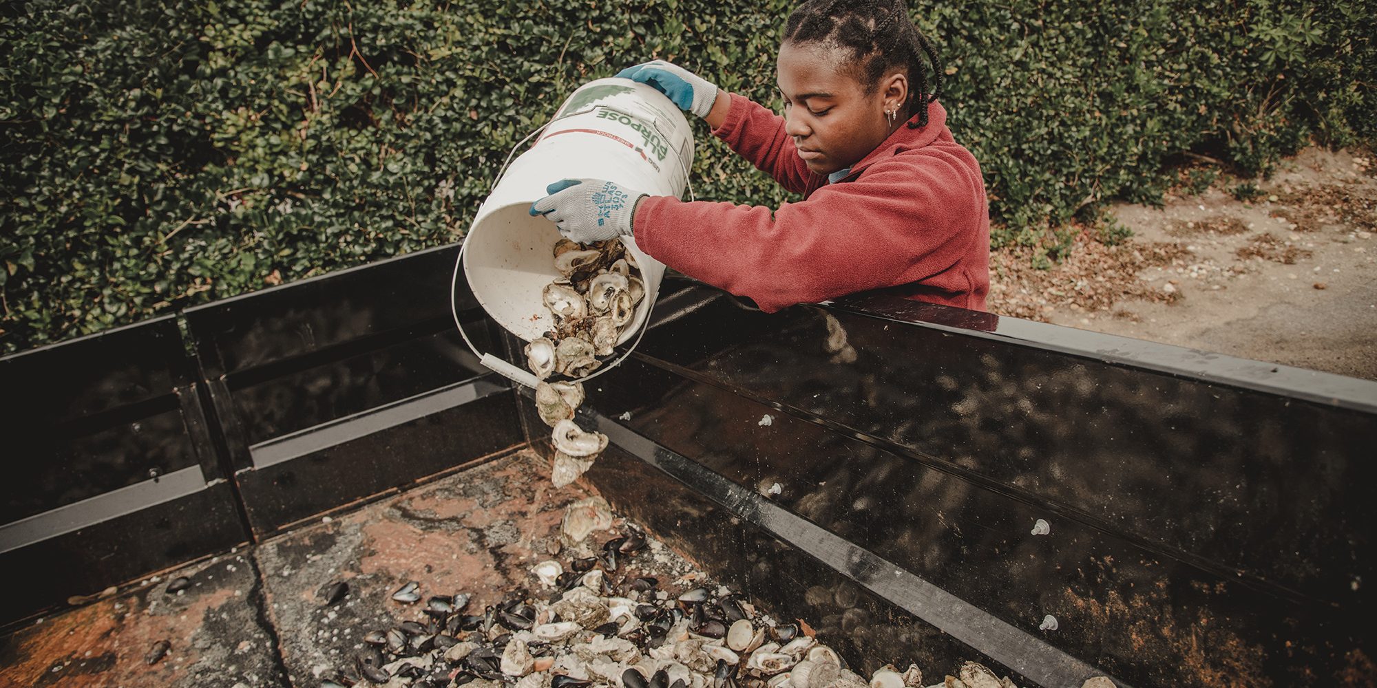oyster shell recycling