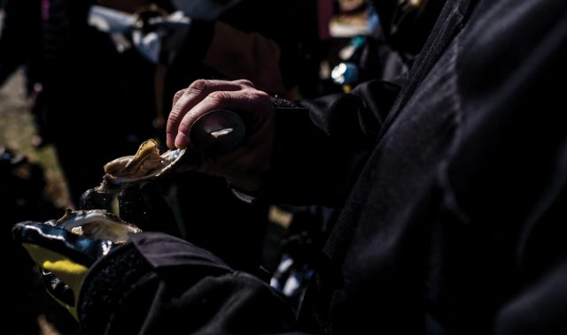 Oyster Roast