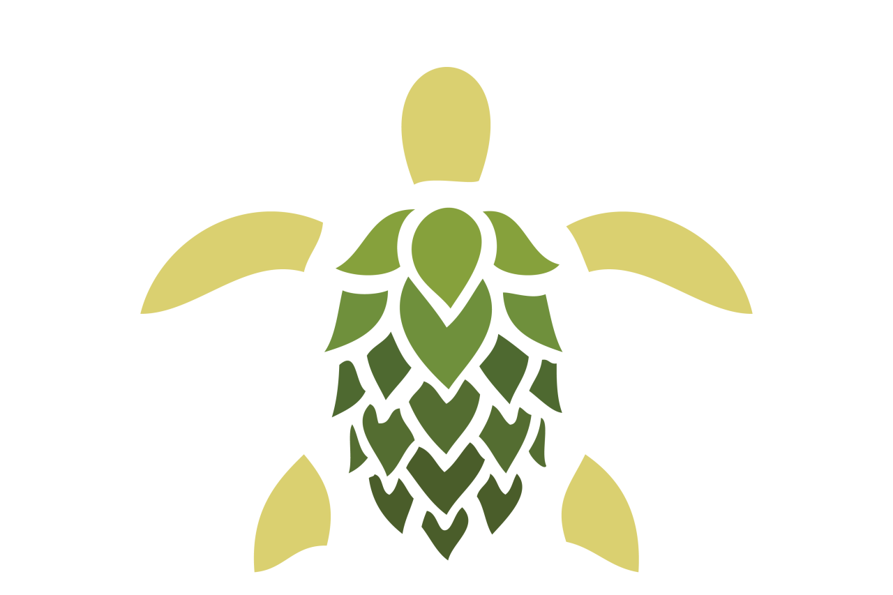 The Salty Turtle Logo. A green gradient illustration of a sea turtle.