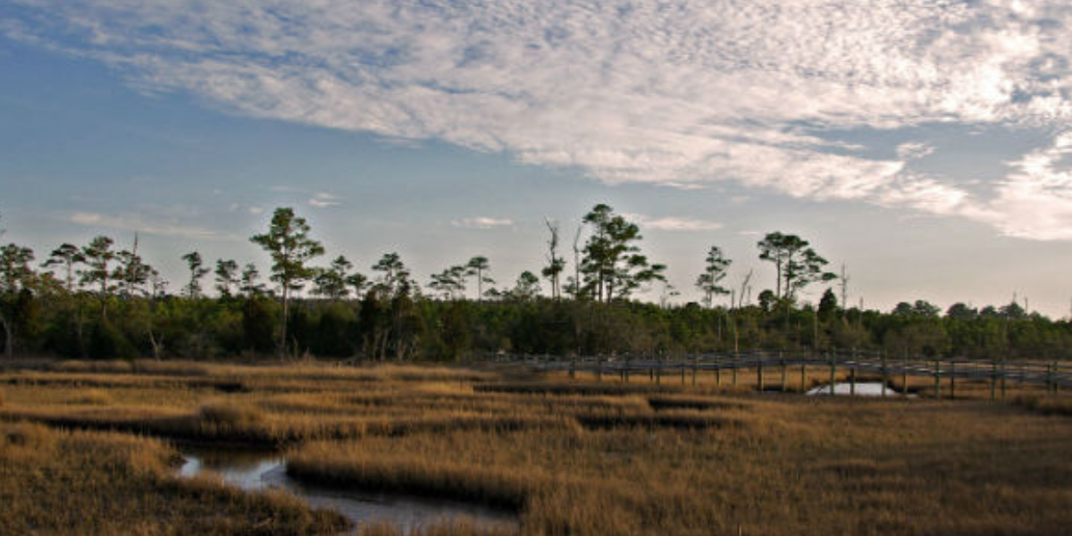 Estuaries Week 2024
