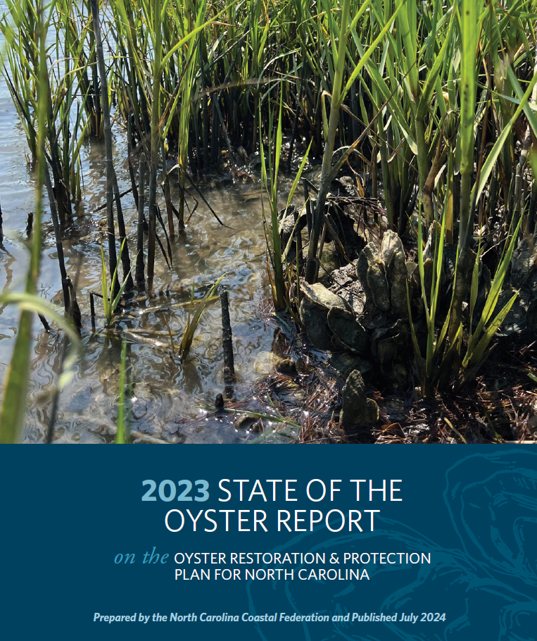 State of the Oyster Report 2023 | North Carolina Coastal Federation