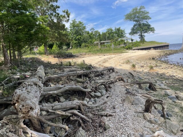 Erosion along the shoreline at MCAS Cherry Point. Photo Credit: WithersRavenel