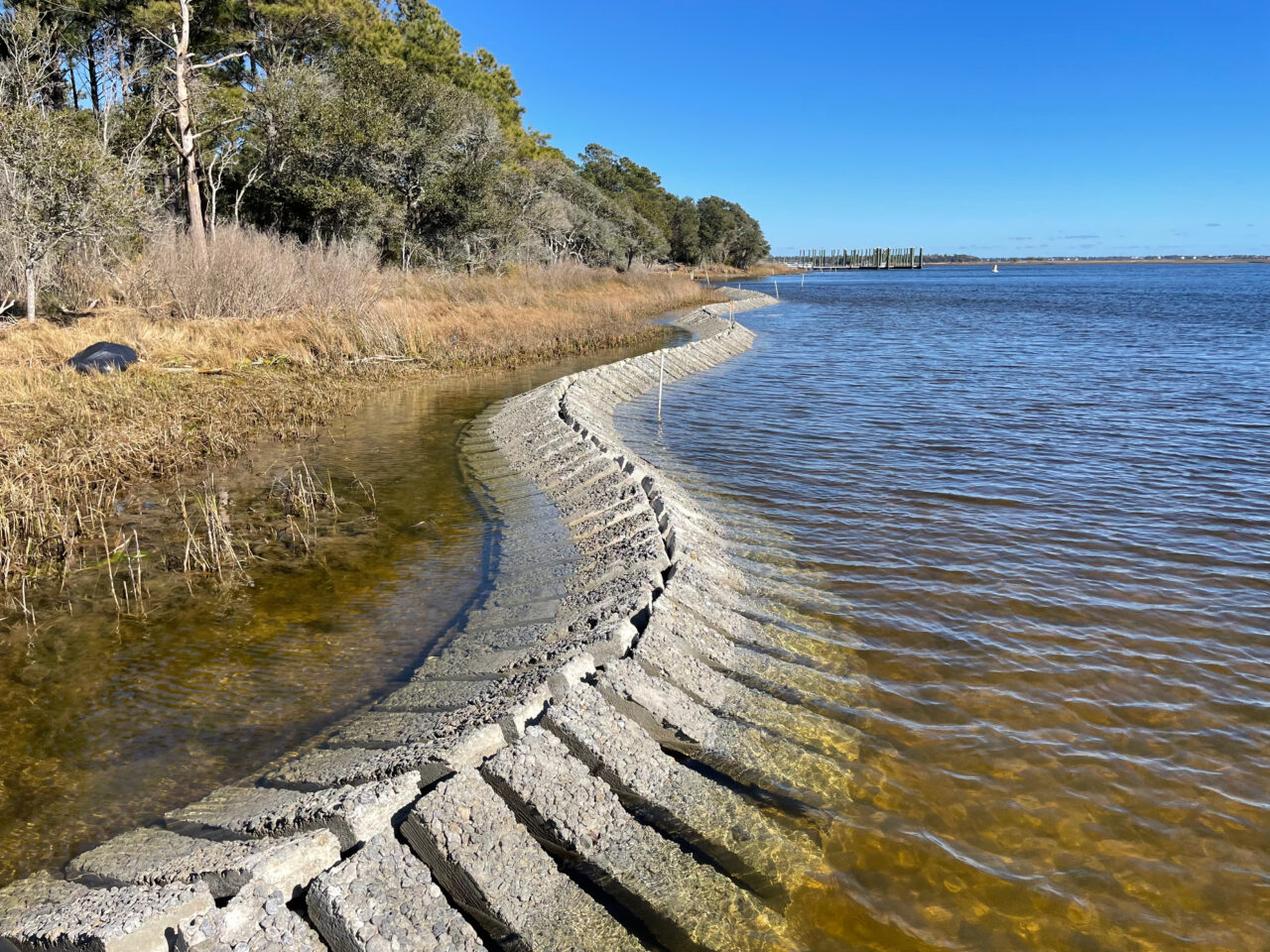 NC Aquarium at Pine Knoll Shores Living Shoreline | North Carolina ...