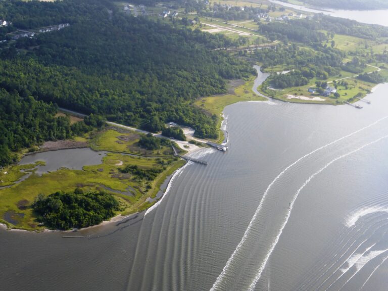 Coastal Federation Protection and Restoration Projects near Ocean City