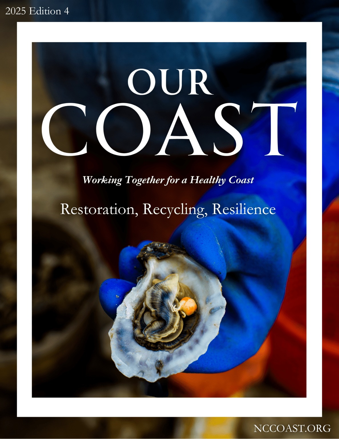 Salt Marsh | North Carolina Coastal Federation
