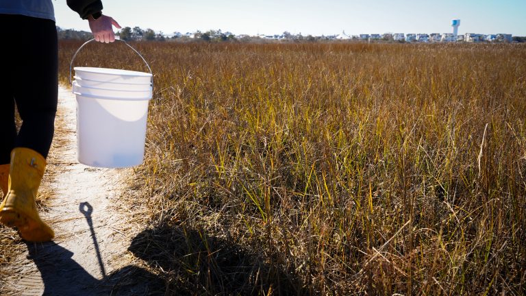New Year, Same Commitment to the Coast