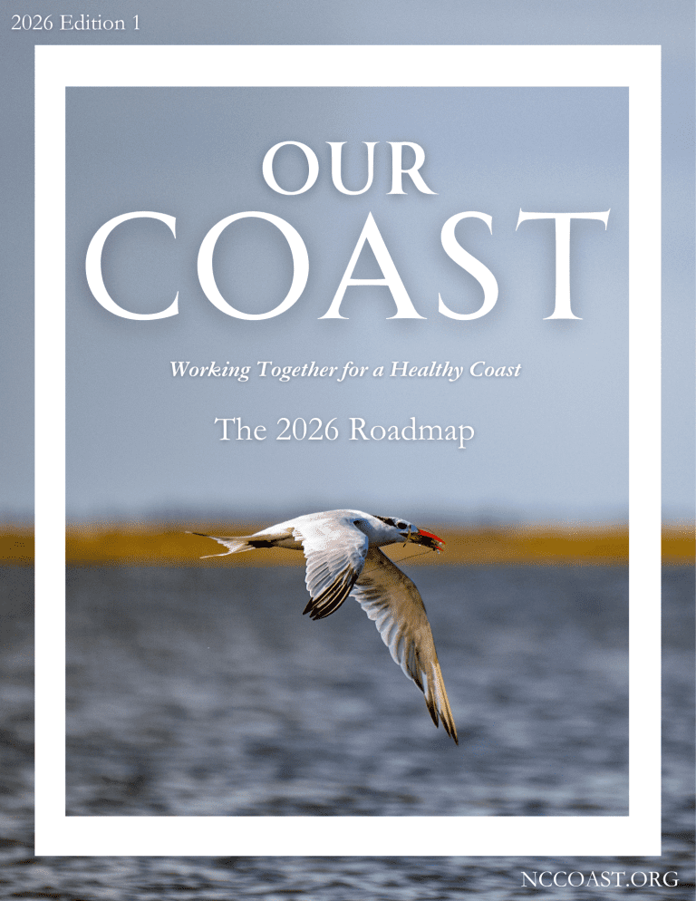 Salt Marsh | North Carolina Coastal Federation