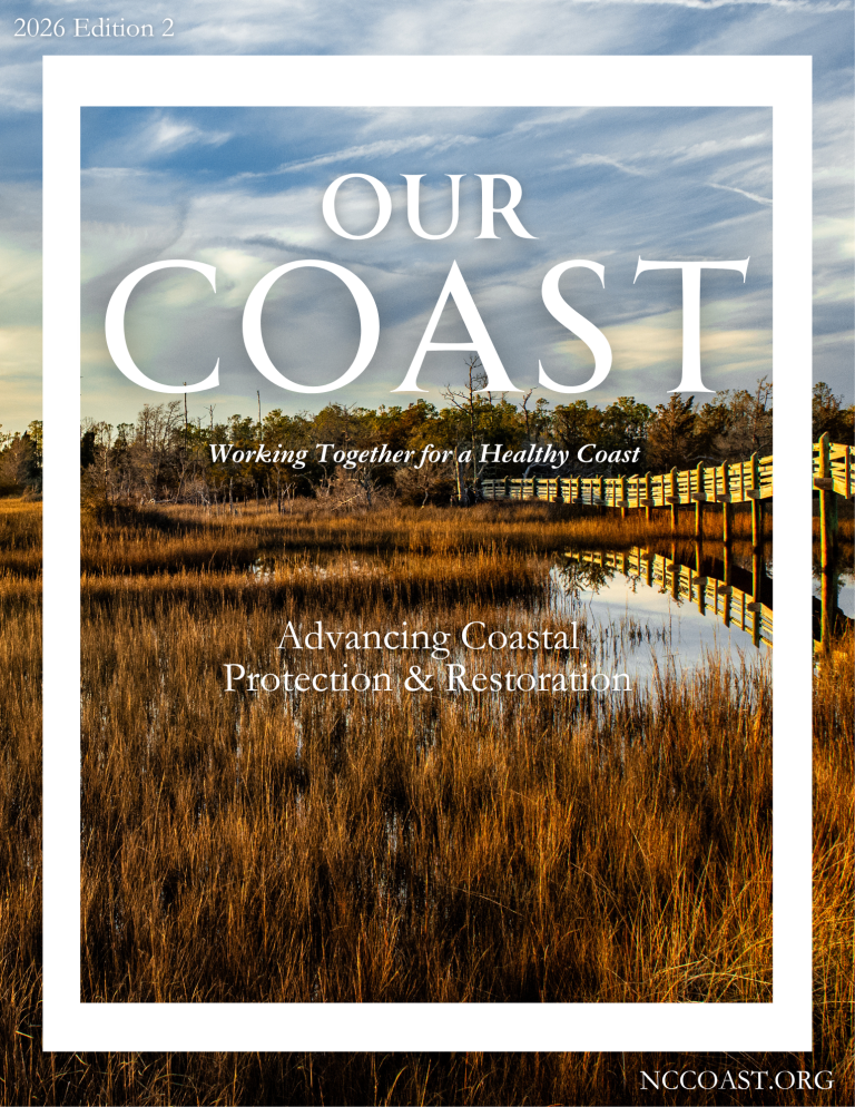 Living Shorelines | North Carolina Coastal Federation