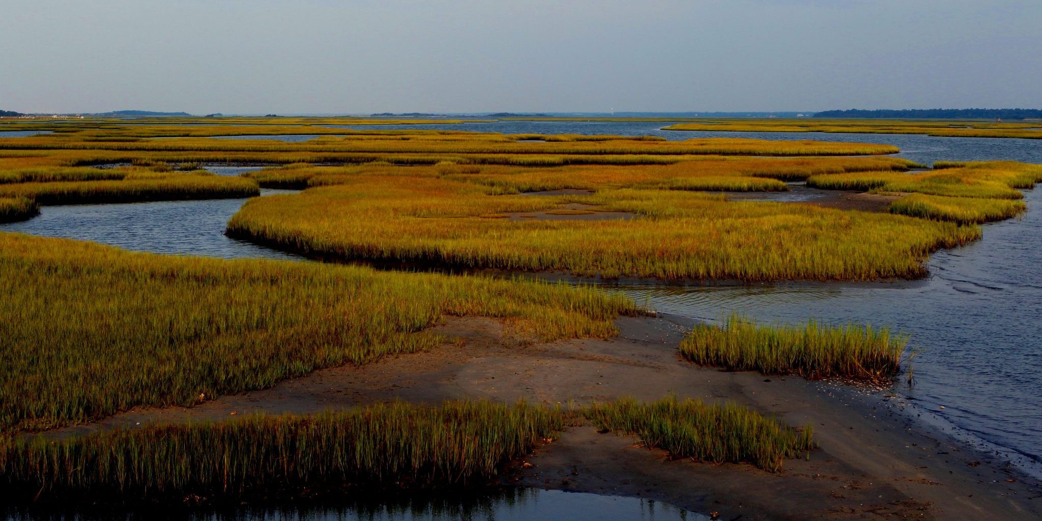 Marsh