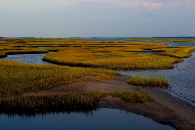 Marsh